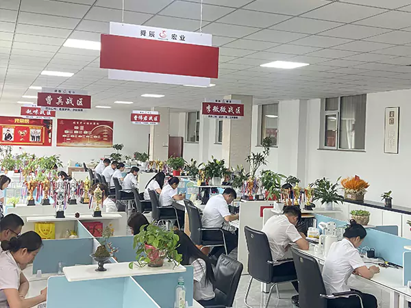 Cum integritate velaminis et qualitatis ut paxillum, novum capitulum scribemus in ferro venalicium