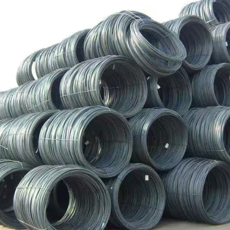 Filum Rod Coil