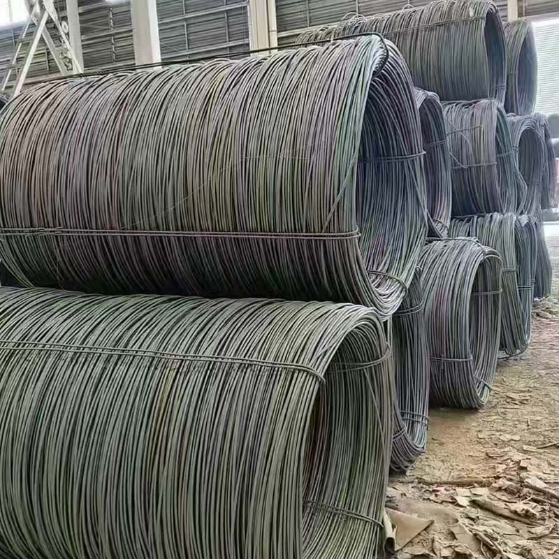 Filum Rod Coil