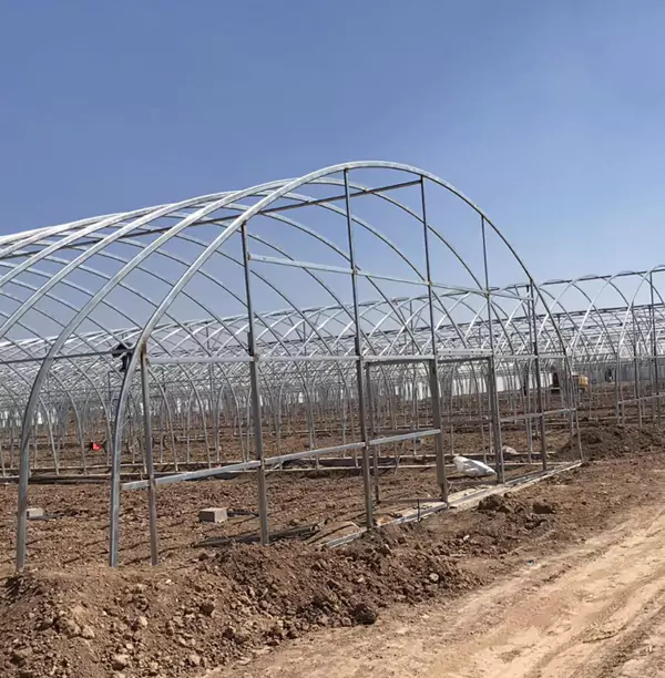 CONSERVATORIUM Pipes